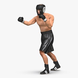 3d adult boxer man pose