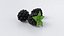 3D Cartoon Blackberry Set