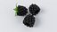 3D Cartoon Blackberry Set