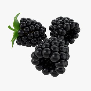 Cartoon Blackberry Set