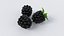 3D Cartoon Blackberry Set