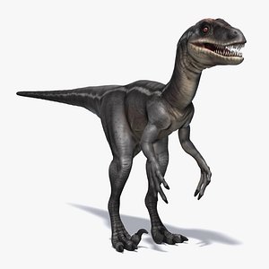 Raptor