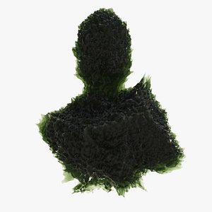 Frozen Splash Abstract Art 3D model