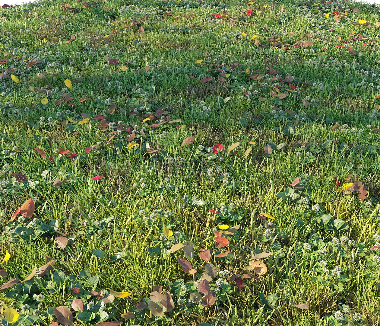 Set Grass Model - TurboSquid 1468848