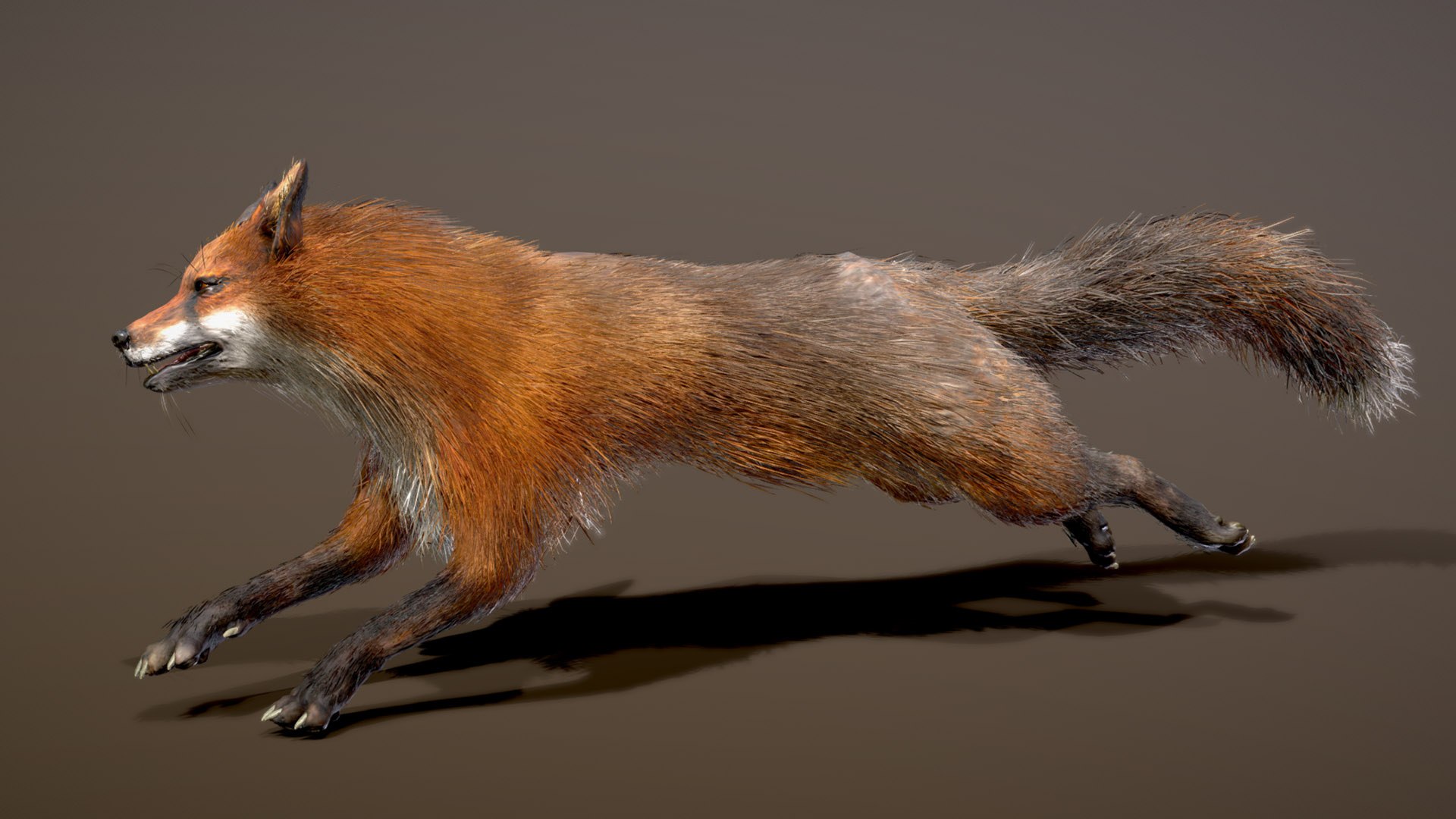Red Fox 3D model https://p.turbosquid.com/ts-thumb/7R/Y0xwKa/4P/preview3/jpg/1758294217/1920x1080/fit_q87/4d61b7a26635f07ce2cfd35e6b90ac8565bc0bd7/preview3.jpg