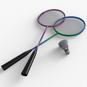 PBR Badminton Racket and Shuttlecock
