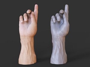 Male Hand Pose 30 3D model