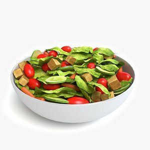 bowl salad 3d max