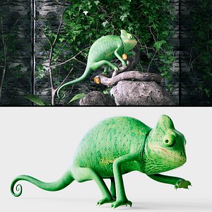 Chameleon