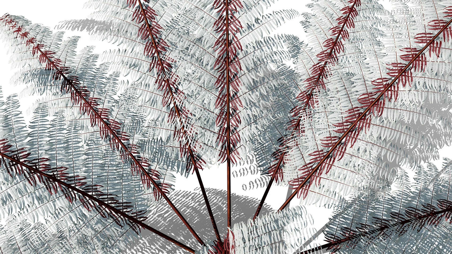 The Deep Forest Undergrowth Pack 3D model https://p.turbosquid.com/ts-thumb/7R/ybaE0f/56/athyriumniponicumz43l/jpg/1776200578/1920x1080/fit_q87/a124ef64684590a5c27d01adfd039a894416f6ce/athyriumniponicumz43l.jpg