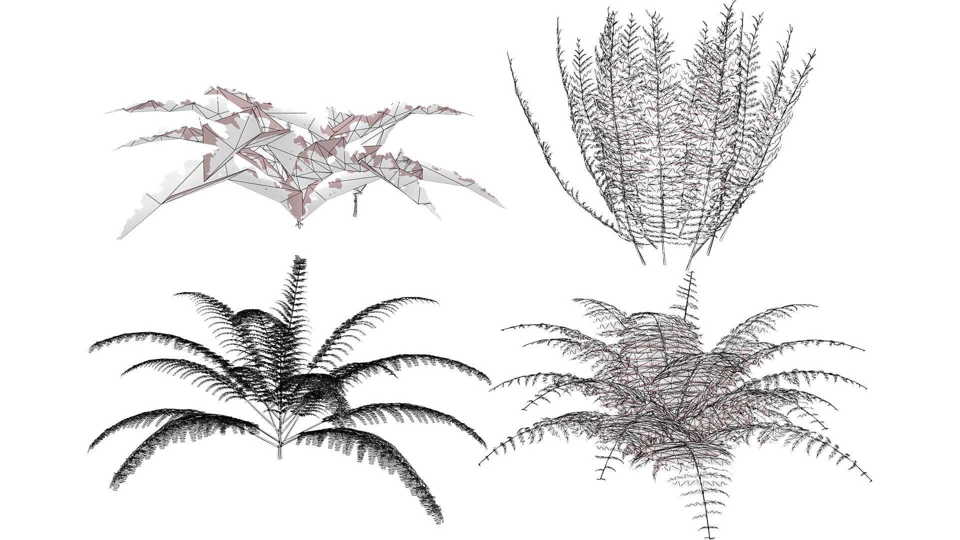 The Deep Forest Undergrowth Pack 3D model https://p.turbosquid.com/ts-thumb/7R/ybaE0f/Nf/wirel/jpg/1776200580/1920x1080/fit_q87/46a0bb3d348da48fe360c4fad9f7c4de2c9157f5/wirel.jpg