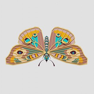3D Buckeye butterfly model