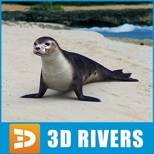 3d hawaiian monk seal