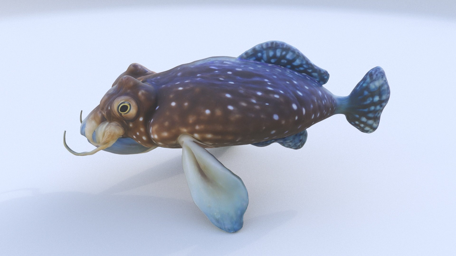 3D Cuttlefish - TurboSquid 2338813