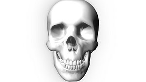 Glowing Skull