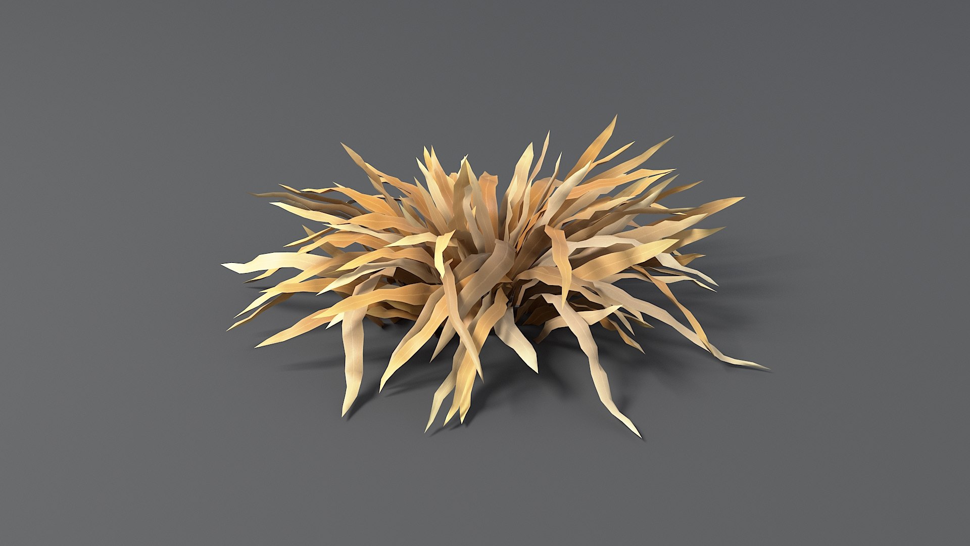 Cartoon Dry Grass 08 model https://p.turbosquid.com/ts-thumb/7S/DRwrE8/Ka/grass_dry_0040/jpg/1679902628/1920x1080/fit_q87/66225cfac70c136aaa3f228ae7091e0ef49d43dc/grass_dry_0040.jpg