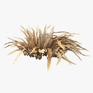 Cartoon Dry Grass 08 model
