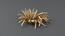 Cartoon Dry Grass 08