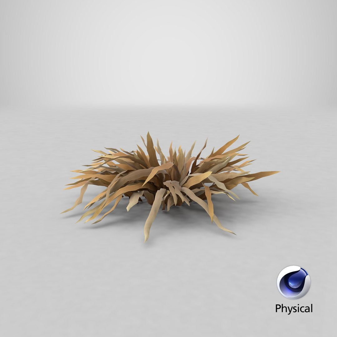 Cartoon Dry Grass 08 model https://p.turbosquid.com/ts-thumb/7S/DRwrE8/v4/stemcell_cinema_4d_physical_render/png/1679946829/1920x1080/fit_q87/0a20e5d6e74095c69d636bf711244beea6767884/stemcell_cinema_4d_physical_render.jpg