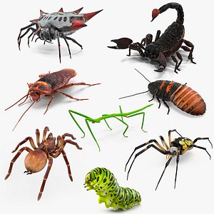 Rigged Creeping Insects Collection 2 for Cinema 4D 3D model