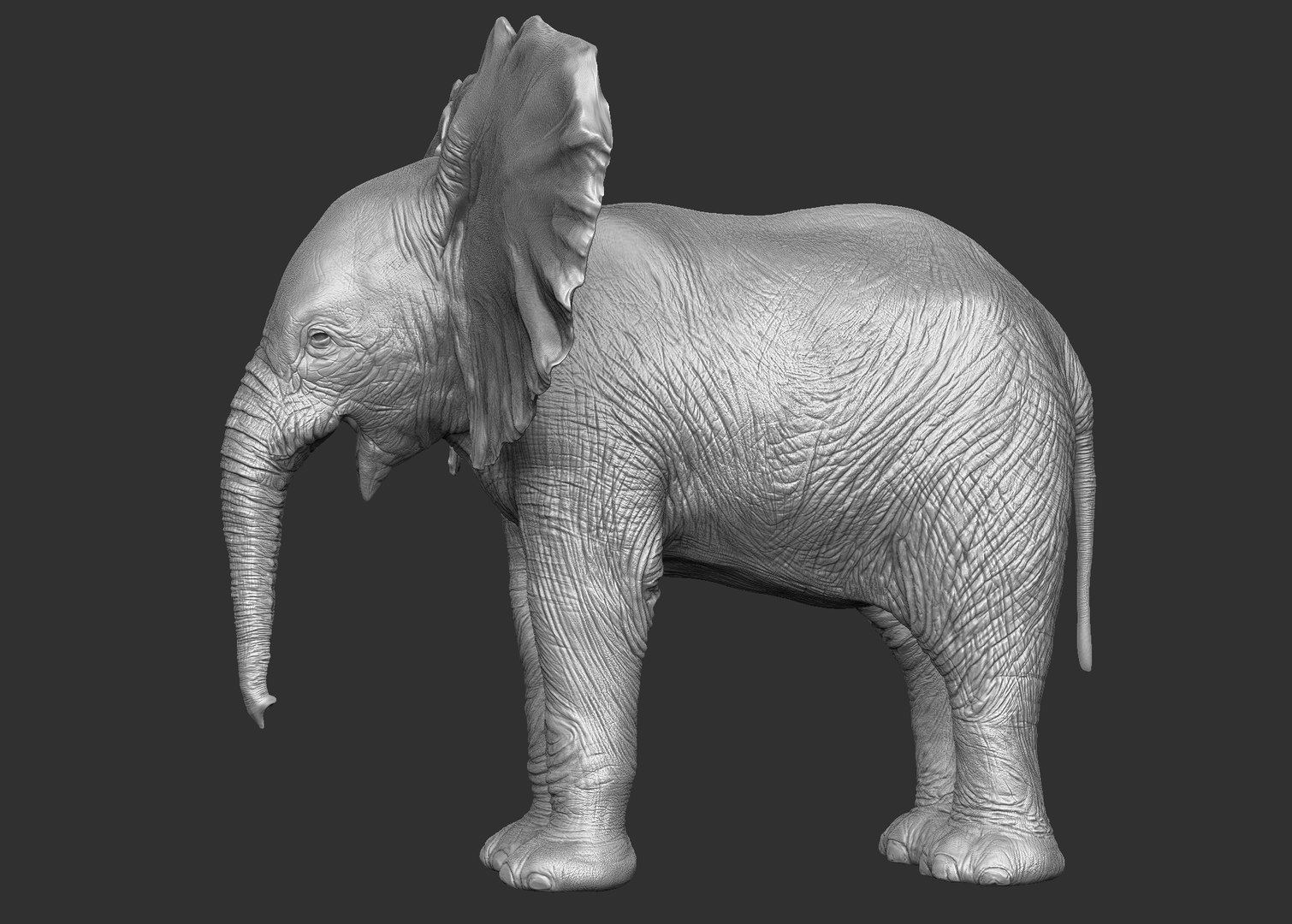 3D Elephant Baby Model - TurboSquid 1248411