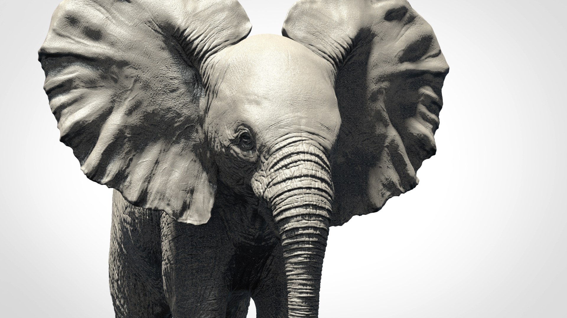 3D elephant baby model - TurboSquid 1248411