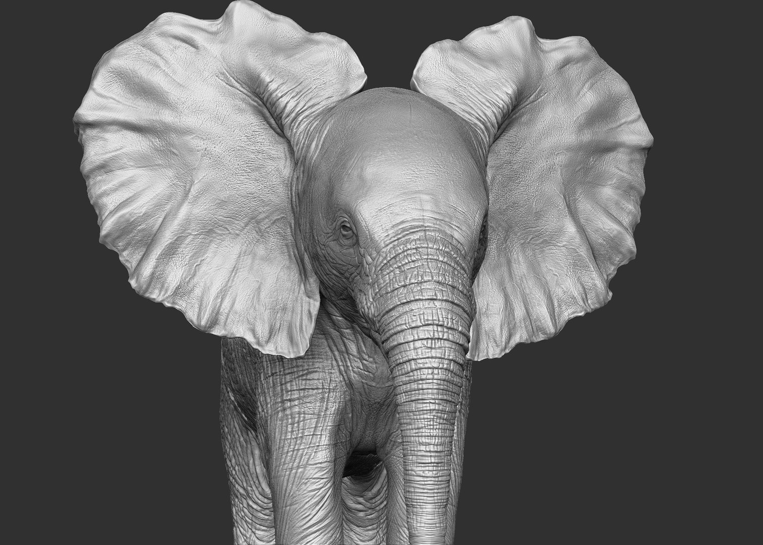3D Elephant Baby Model - TurboSquid 1248411