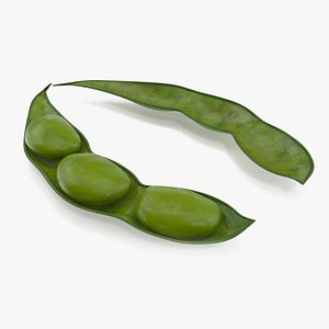 Green Soybean Pod Open(1)