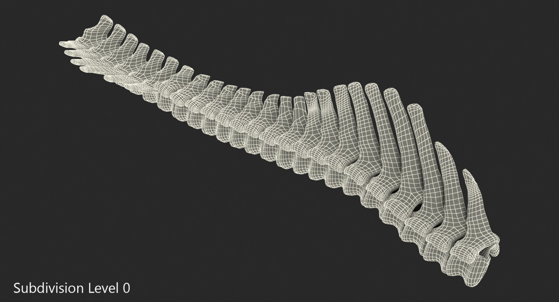 3D animal spine vertebrae bones https://p.turbosquid.com/ts-thumb/7S/ctO9MI/16RJgRI6/animalspinevertebraebones23dmodel009/jpg/1539617074/1920x1080/fit_q87/c1b3c06e69e5d3a7c76bbd8e49af6ac10f2ea624/animalspinevertebraebones23dmodel009.jpg