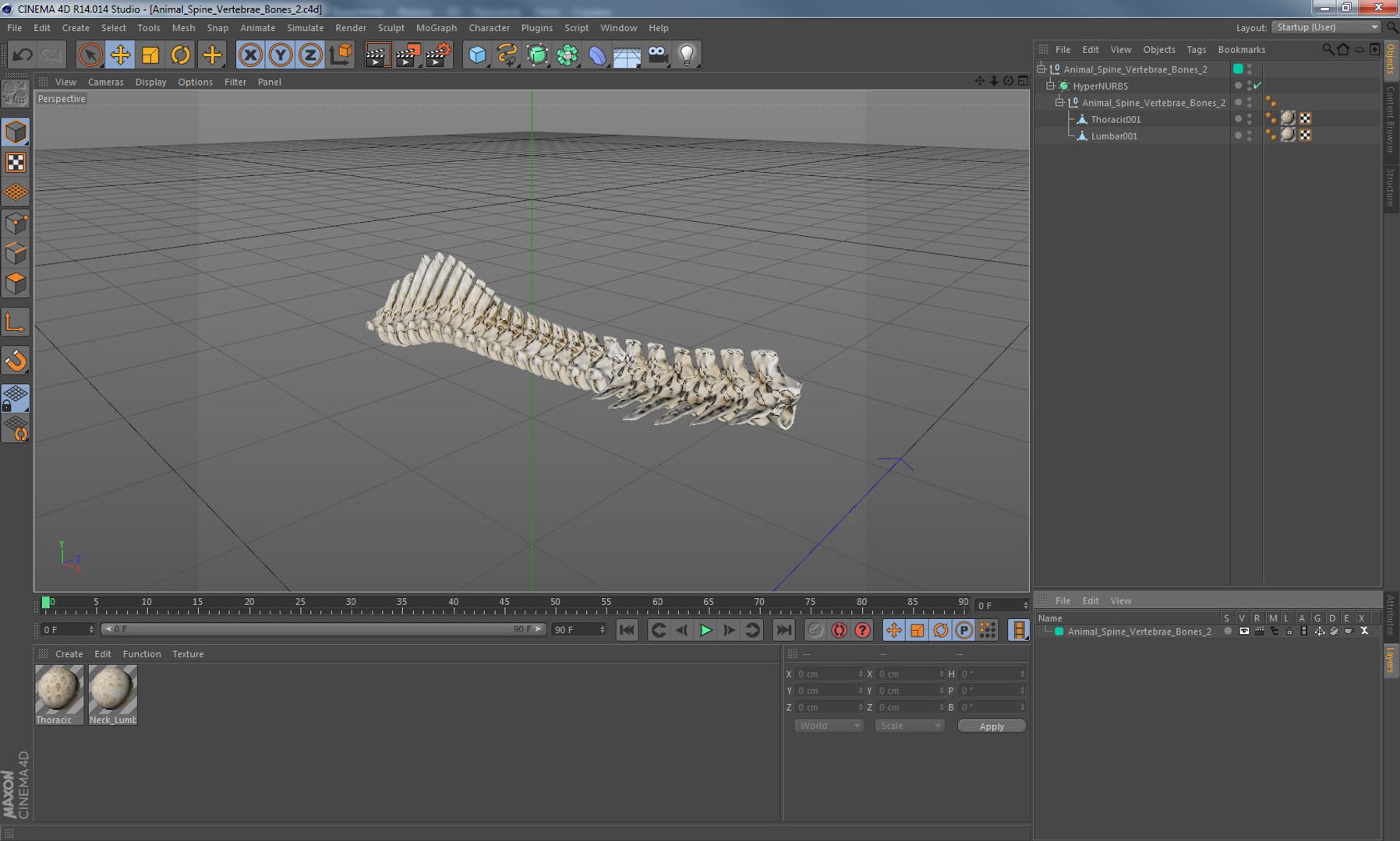 3D animal spine vertebrae bones https://p.turbosquid.com/ts-thumb/7S/ctO9MI/A7J45yPH/animalspinevertebraebones23dmodel014/jpg/1539617074/1920x1080/fit_q87/3a95d9f58a346a1233c13f60456eb439cf6bafdf/animalspinevertebraebones23dmodel014.jpg
