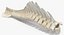 Animal Spine Vertebrae Bones 2 3D Model