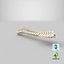 Animal Spine Vertebrae Bones 2 3D Model
