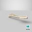 Animal Spine Vertebrae Bones 2 3D Model