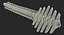 Animal Spine Vertebrae Bones 2 3D Model