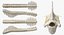 Animal Spine Vertebrae Bones 2 3D Model