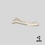 Animal Spine Vertebrae Bones 2 3D Model