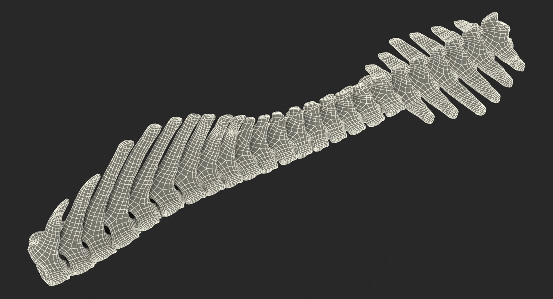 3D animal spine vertebrae bones https://p.turbosquid.com/ts-thumb/7S/ctO9MI/do6OHGcr/animalspinevertebraebones23dmodel016/jpg/1539617074/1920x1080/fit_q87/45b2519a13ab33a0f8af1291ecaa27a4c0cdb175/animalspinevertebraebones23dmodel016.jpg