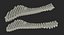 Animal Spine Vertebrae Bones 2 3D Model