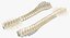 Animal Spine Vertebrae Bones 2 3D Model