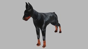 Dog doberman OBJ