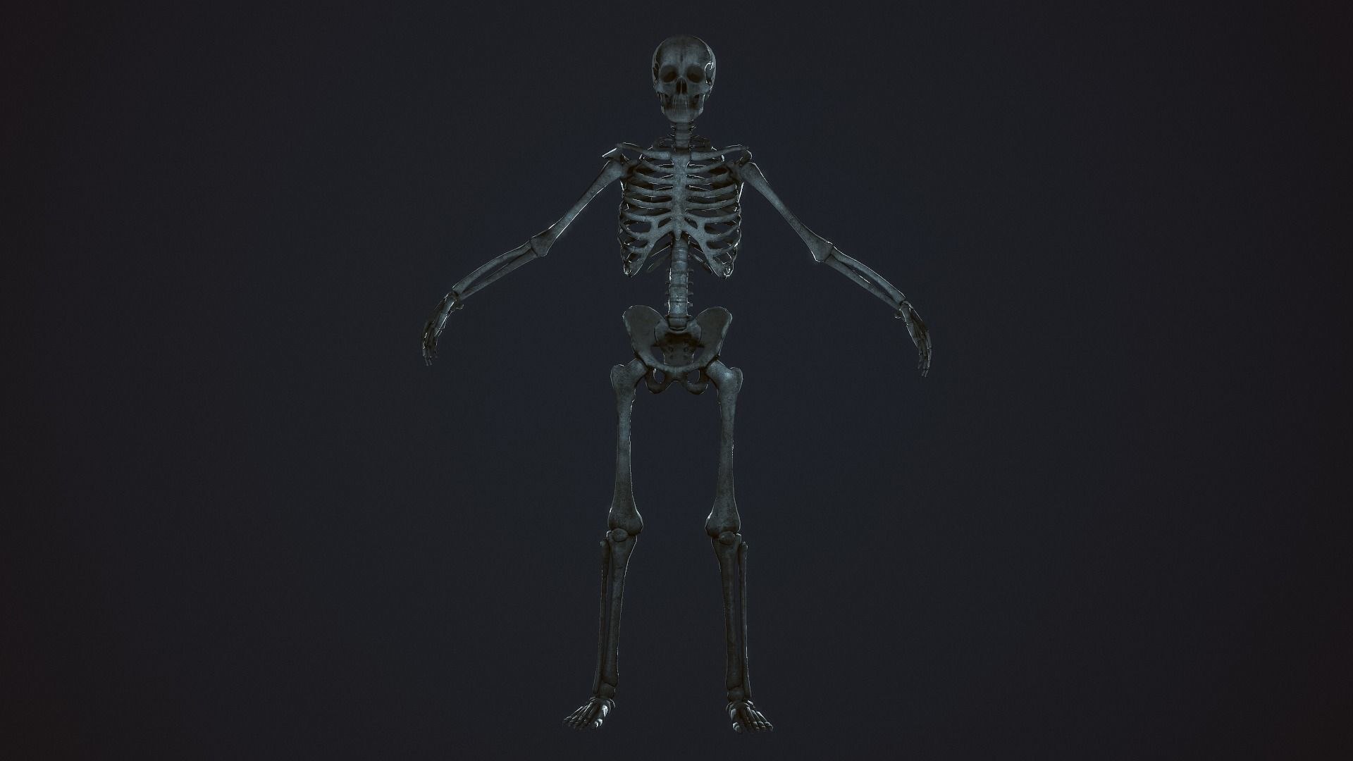 3D Skeleton Warrior https://p.turbosquid.com/ts-thumb/7S/hopBgP/vg/skeletonwarriorgameready3dmodellowpolyriggedfbxmaunitypackageuassetspp22/jpg/1638703083/1920x1080/fit_q87/742eb835b30ec60061be2a4e6c5b15c31c35bfe8/skeletonwarriorgameready3dmodellowpolyriggedfbxmaunitypackageuassetspp22.jpg