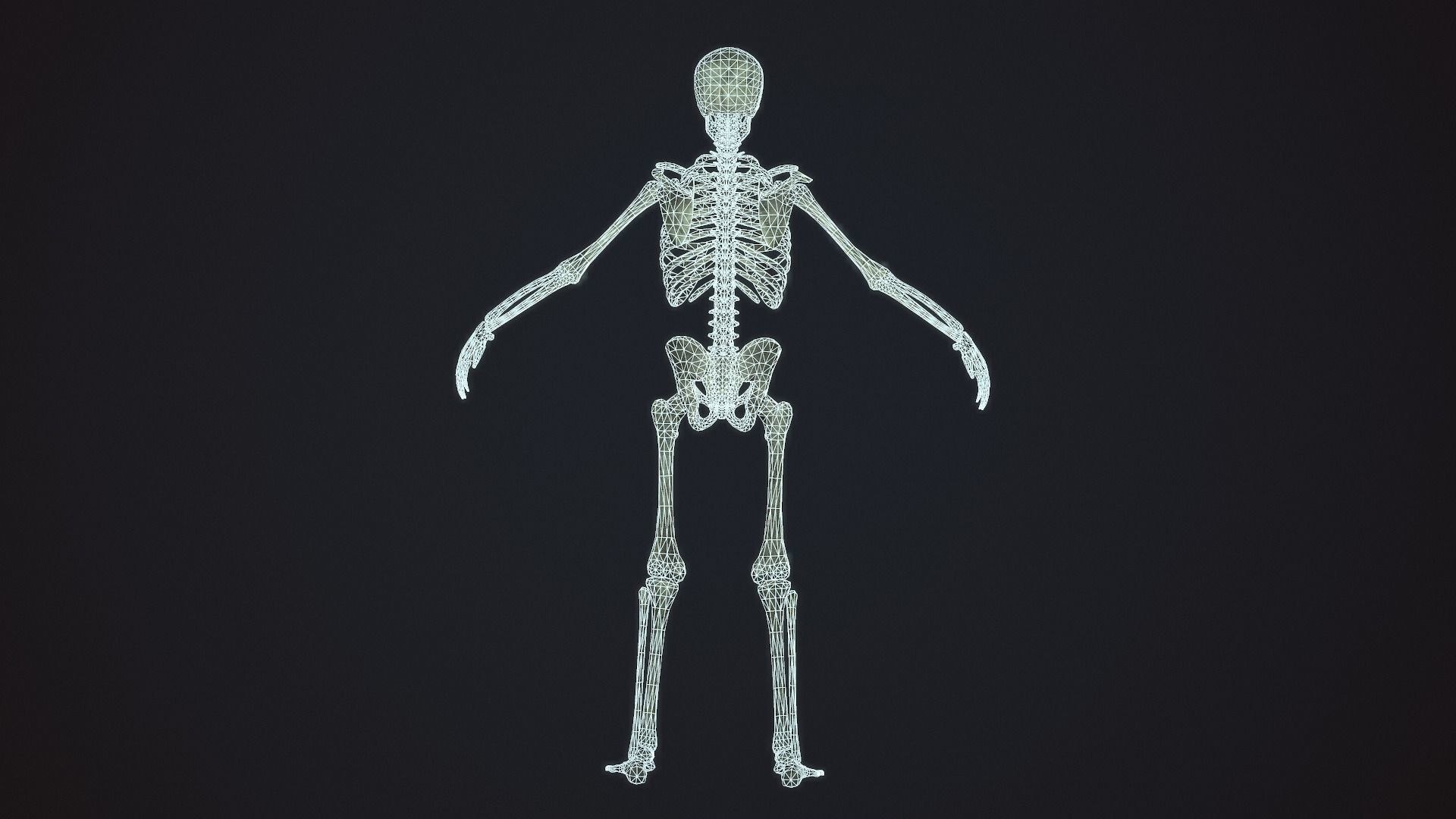 3D Skeleton Warrior https://p.turbosquid.com/ts-thumb/7S/hopBgP/wu/skeletonwarriorgameready3dmodellowpolyriggedfbxmaunitypackageuassetspp6/jpg/1638703085/1920x1080/fit_q87/c36331cc93ee6ee4a55ba7430fbc6e97d7a0ba5f/skeletonwarriorgameready3dmodellowpolyriggedfbxmaunitypackageuassetspp6.jpg