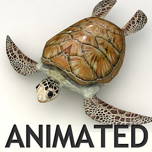 Sea Turtle Animated
