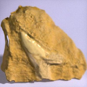 fossilized sharks tooth 3d model