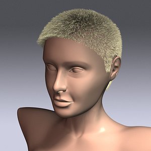 max hair virtual