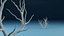 Alberi morti stampabili in 3D