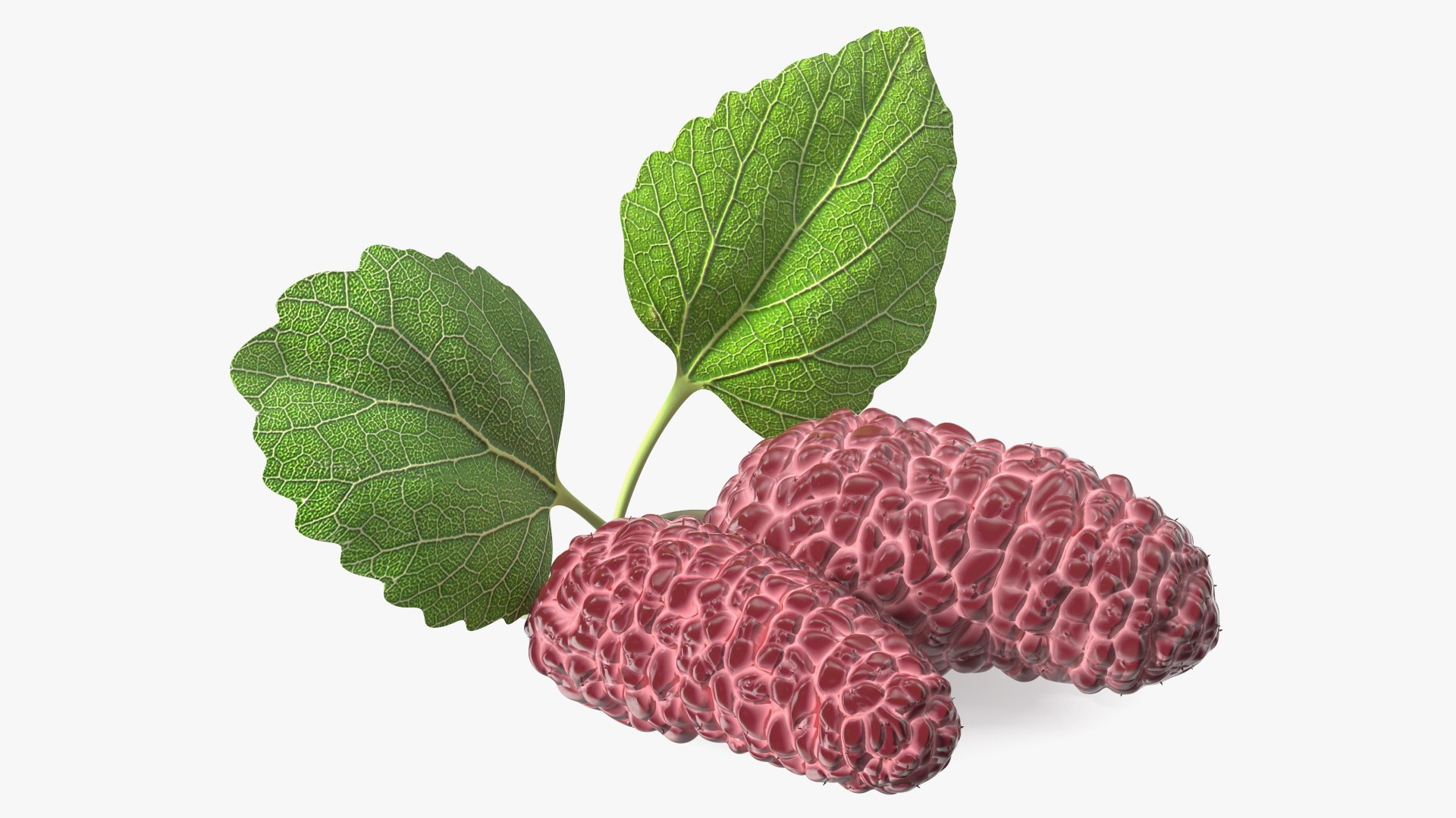 Mulberry Fruit Pink with Leaves 3D model preview