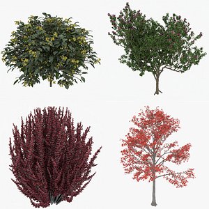 3D model Plants Pack Trees and Bush