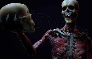 Petrifying Mummy Skeleton Zombie RIGGED 4K TEX