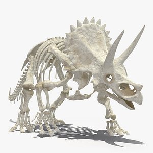 triceratops horridus skeleton walking model